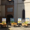 Agence VilloPub -Jonquille
